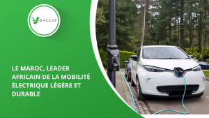 La mobilité électrique légère et durable